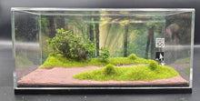 Load image into Gallery viewer, Forrest Scene MoreArt Box